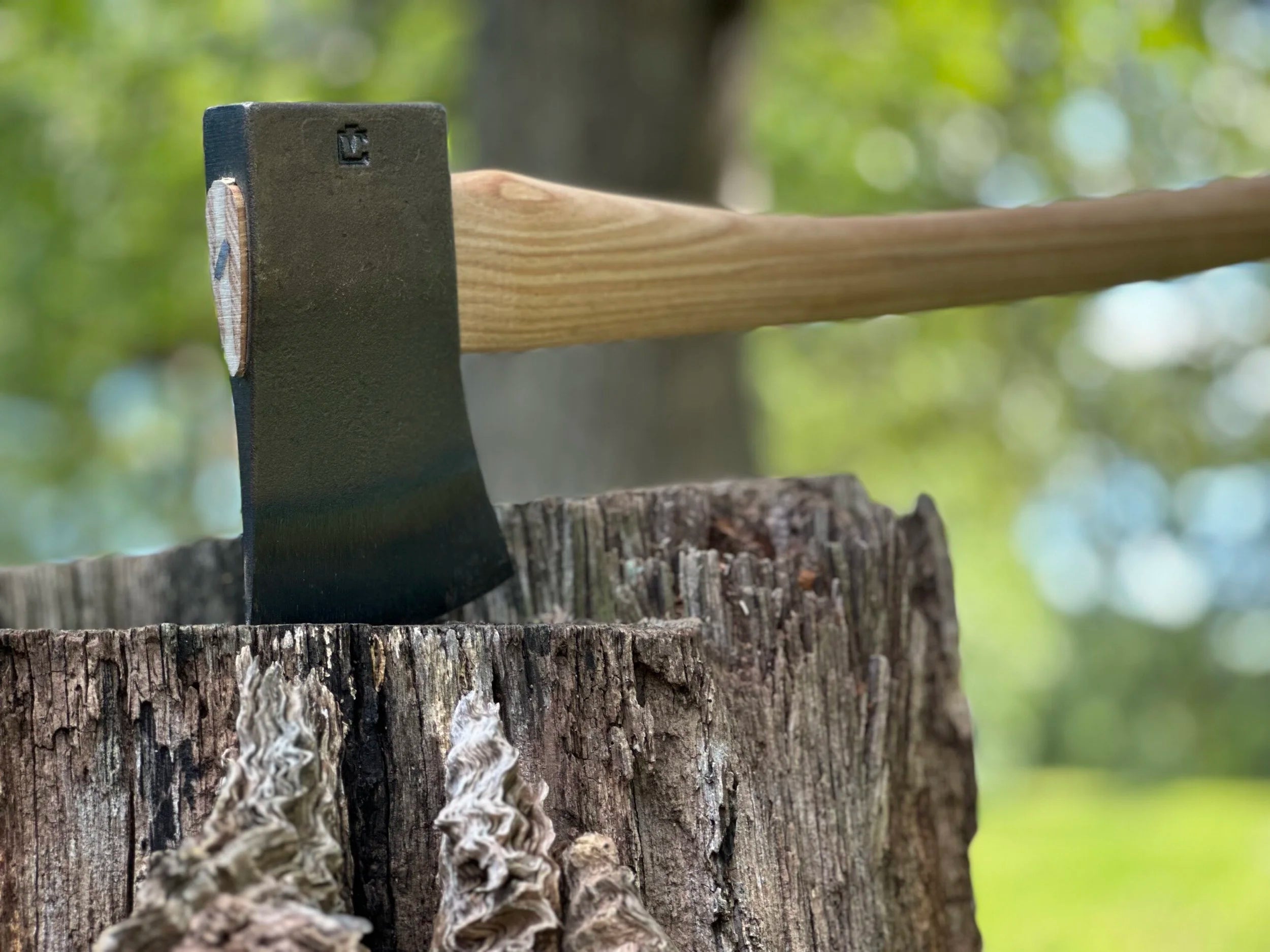 Council Tool Dayton Patterned Boy's Axe - 2.25 lb. head - 24" curved handle